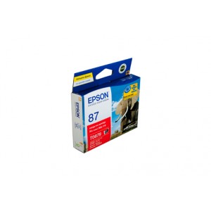 Epson T0879 R1900 Orange Ink Cartridge